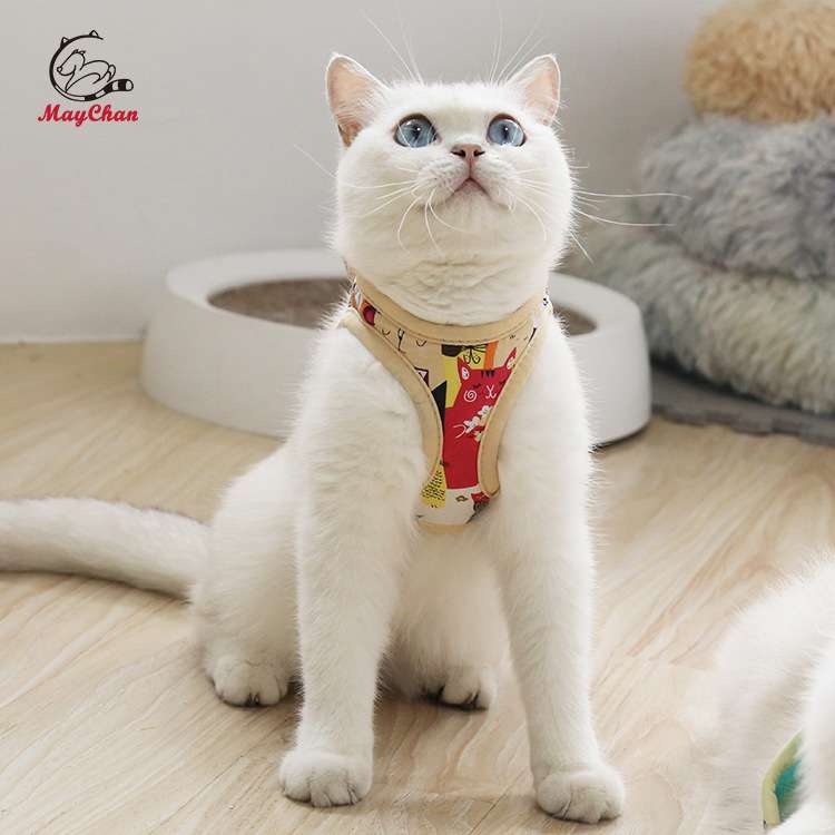 猫咪狗牵引绳胸背带棉 外出防走失防挣脱猫咪背带可调节遛猫绳子