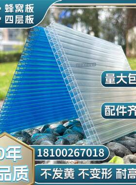 PC蜂窝阳光板蜂巢隔断装饰雨棚车棚阳光房插接板8mm10mm16mm20mm