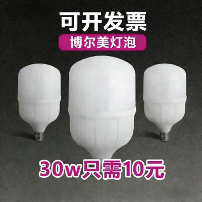 博尔美至真LED节能灯球泡10w20w30W40W50W瓦螺口螺纹灯泡家用商用