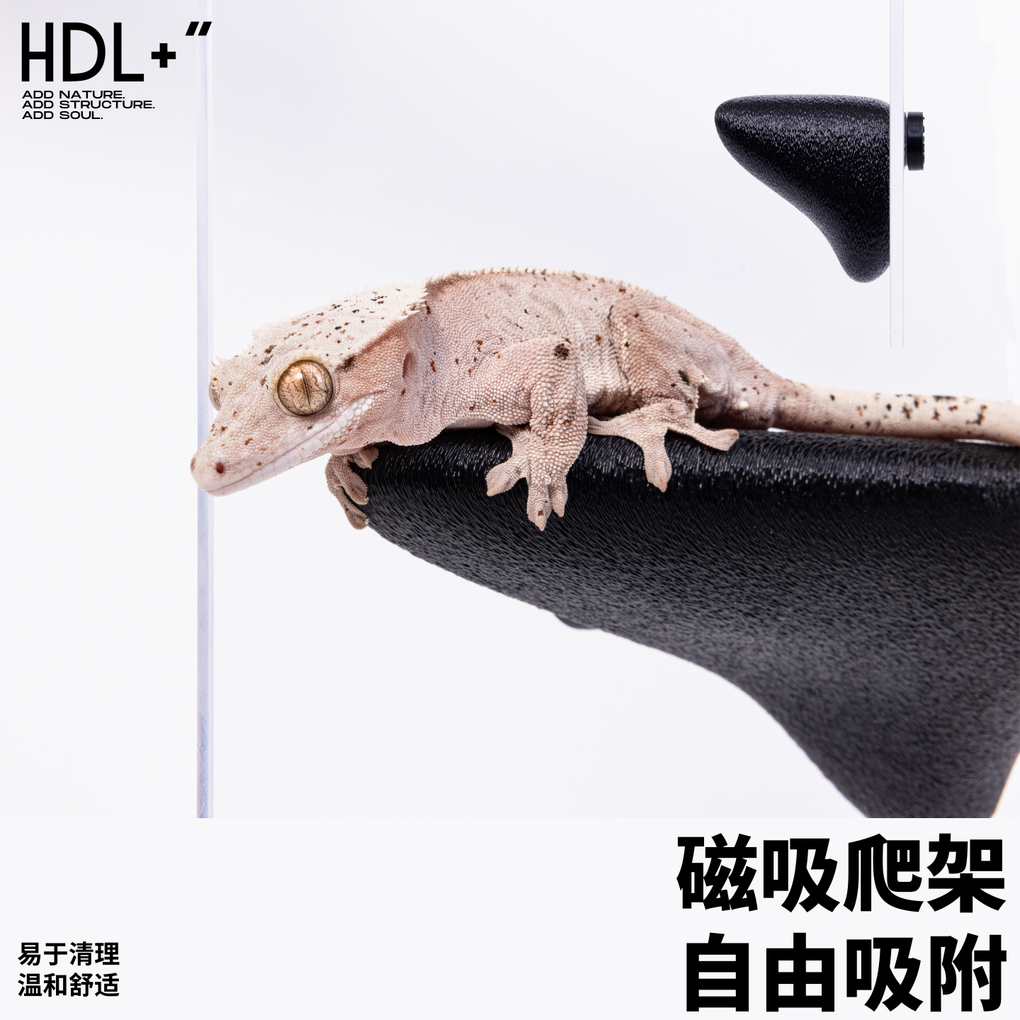 爬宠攀爬磁吸悬浮辅助蜕皮爬架吊床悬挂睫角守宫老爷树蛙蜥蜴树栖
