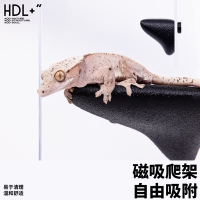爬宠攀爬磁吸悬浮辅助蜕皮爬架吊床悬挂睫角守宫老爷树蛙蜥蜴树栖