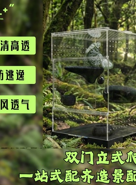 睫角守宫爬箱树栖亚克力高透盖勾亚树蛙R属爬宠缸饲养箱高箱恒温