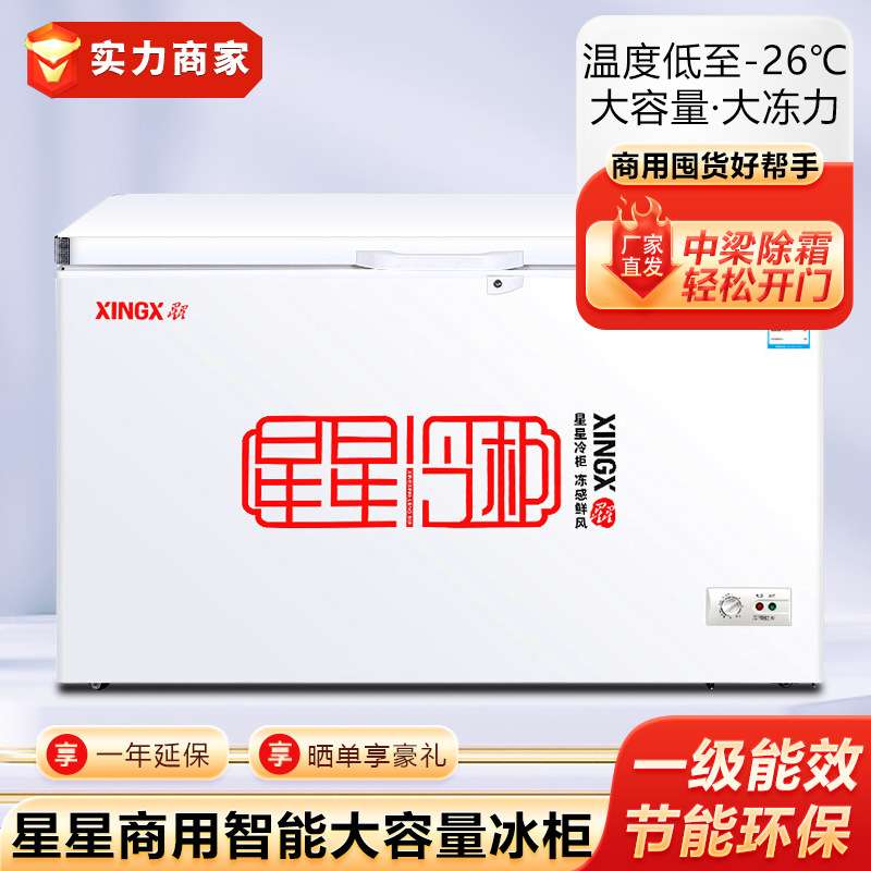 星星冰柜冷藏保鲜冷冻冰箱速冻雪糕冷饮海鲜柜卧式冷柜商用冰柜