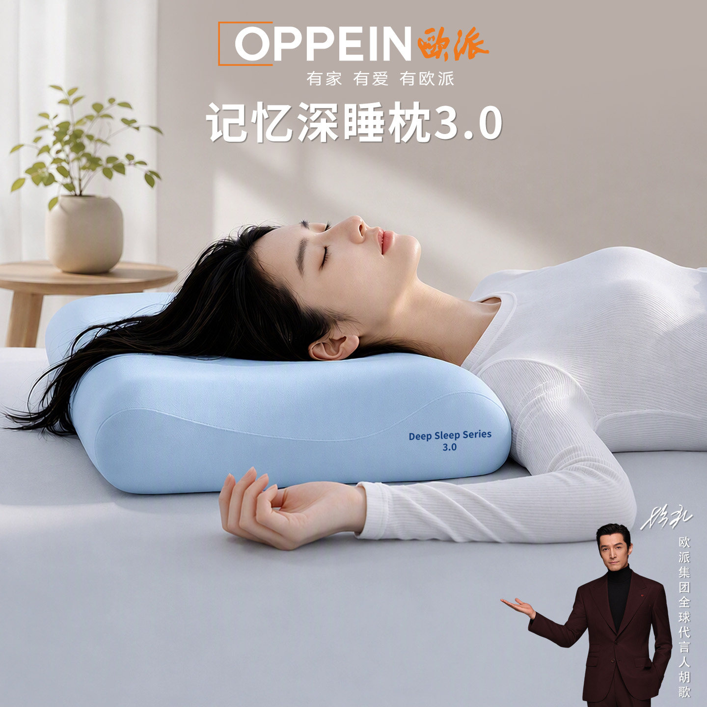 OPPEIN欧派记忆棉枕头成人枕芯颈椎枕学生宿舍护颈椎助睡眠一只装