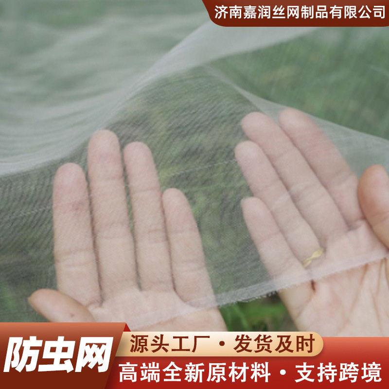 防虫网加厚大棚蔬菜耐用防虫网罩果树蚂蚱养殖猪场纱网防虫网
