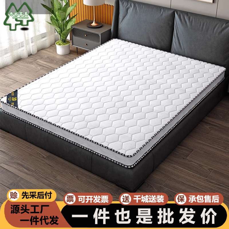 床垫席梦思环保椰棕床垫1.2/1.5/1.8/2.2*2米5/10cm薄垫子家用
