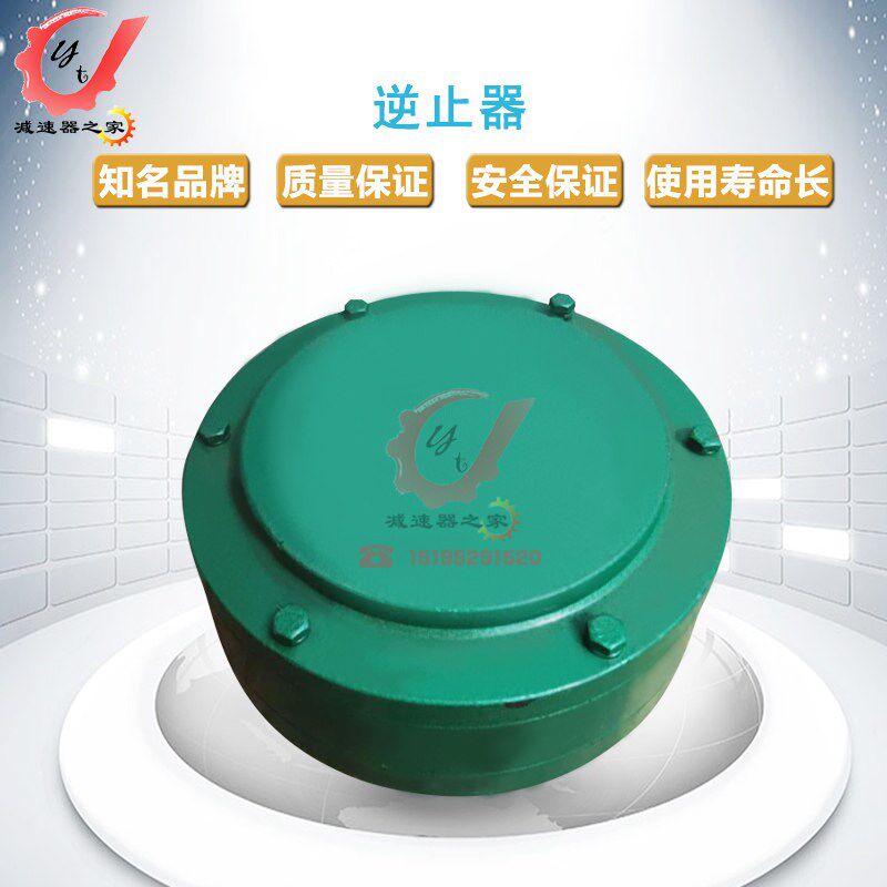 江苏泰星牌泰隆牌硬齿面减速机配件DCY  DBY滚柱逆止器中一轴 - 实物图