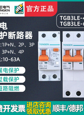 TENGEN天正TGB3LE-32/63空气开关带漏电保护器2P电闸63A单相家用