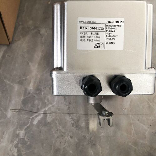 HKGT50-60T20E电动执行器