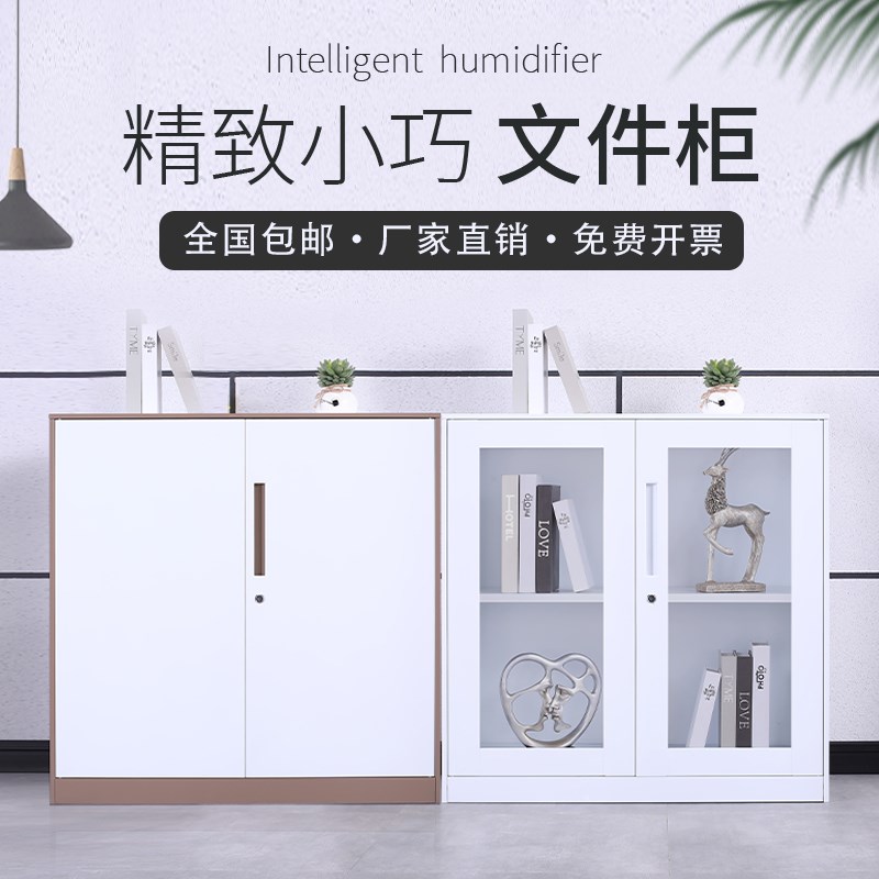 钢制文件柜铁皮移门矮柜带锁玻璃门推拉地柜双层鞋柜资料趟门柜子