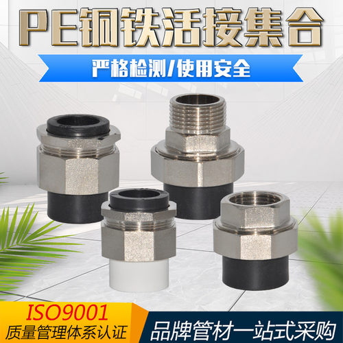 PE外丝内丝铜铁双头双活接PE转PPR铜铁活接转换接头水管管材管件
