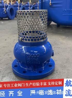 DI德标底阀水泵吸水底阀H42X消声式升降底阀