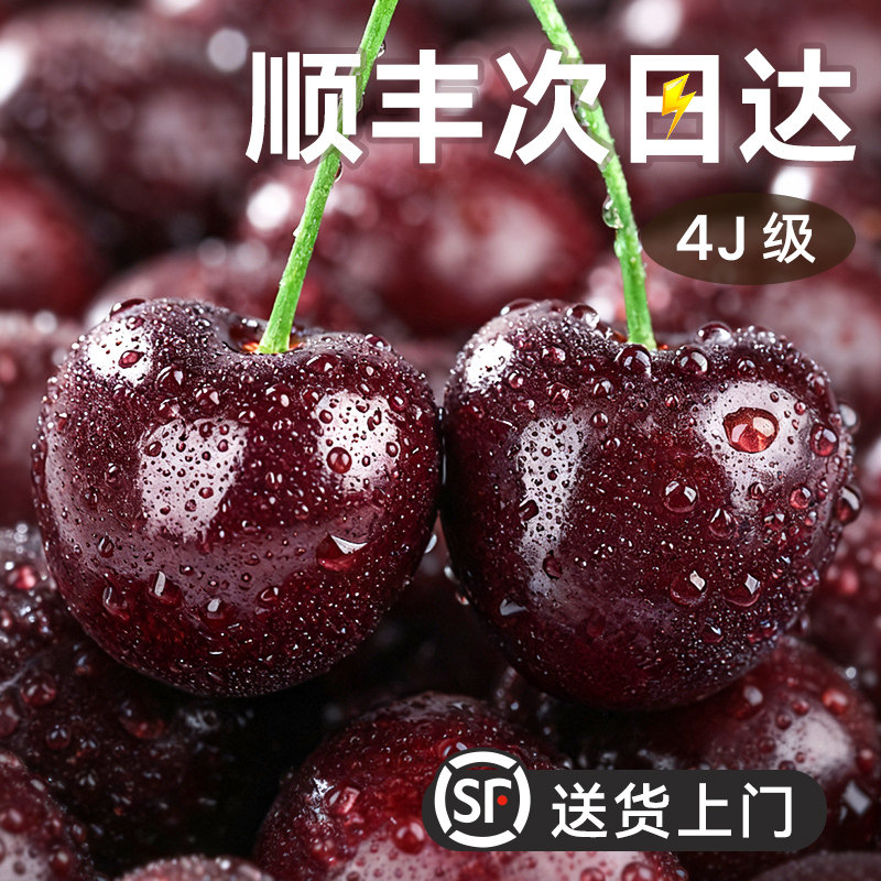 美国车厘子5斤新鲜水果当季整箱包邮礼盒进口大樱桃孕妇3j4j5j级