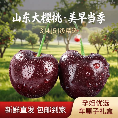 山东美早当季新鲜车厘子5斤礼盒