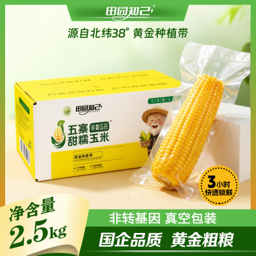五寨甜糯玉米三小时锁鲜国企品质