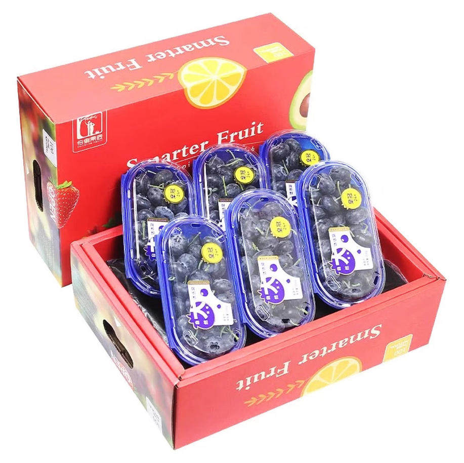 云南蓝莓王 皇冠迷迭蓝花香蓝莓超大果次日达24mm+孕妇水果礼盒装