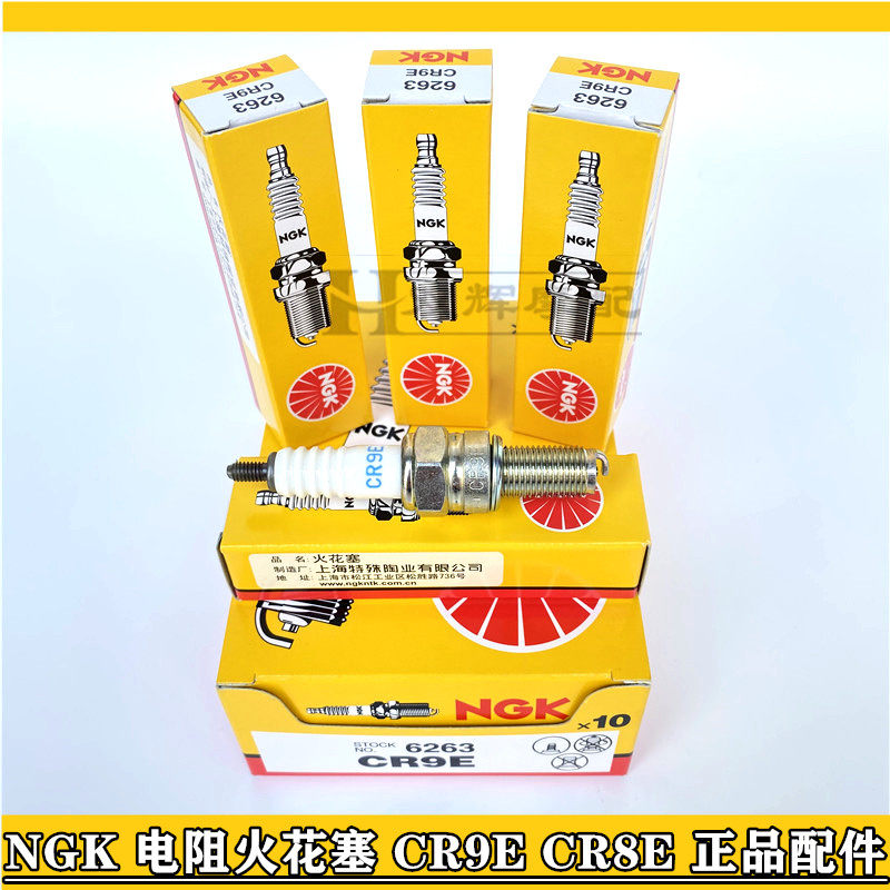 适用春风250/400/650倍力尼黄龙300/600钱江赛追600NGK火花塞CR9E