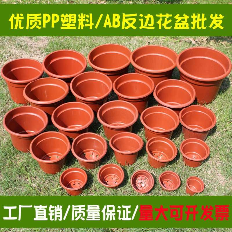 AB圆反边塑料花盆加厚基地种植盆育苗网底小花盆绿萝小号大号无托