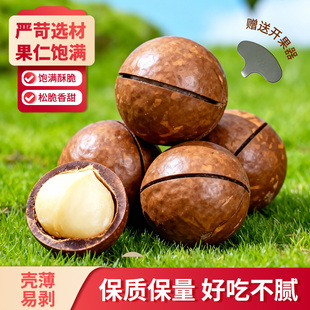 仁仁赞 夏威夷果500g袋装大颗粒奶油香味散干果孕妇休闲坚果零食