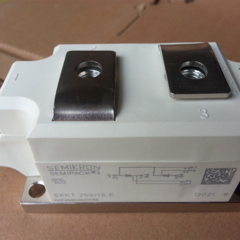 SKKT250/16E/14E/12E SKKT273/16E SKKT253 全新西门康可控硅模块