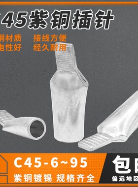 C45-10插针插片铜端子DZ47铜鼻子鸭嘴鼻空开线耳线鼻子1个