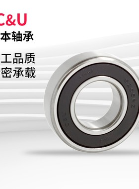 人本轴承C&U 6203 6204 6205 6206 6306 6308 6309 -2RZ 电机轴承
