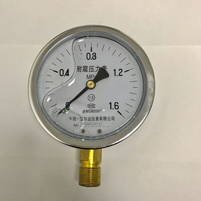 雷尔达仪表 耐震压力表 YN-100 1.6mpa m20x1.5 直径100mm 1.6级
