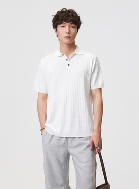 柏川夏季2026新款男生肌理感针织polo衫男士宽松翻领短袖t恤上衣