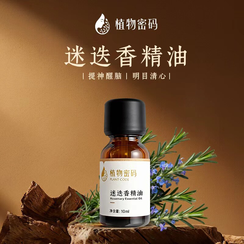 迷迭香单方精油香薰按摩精油