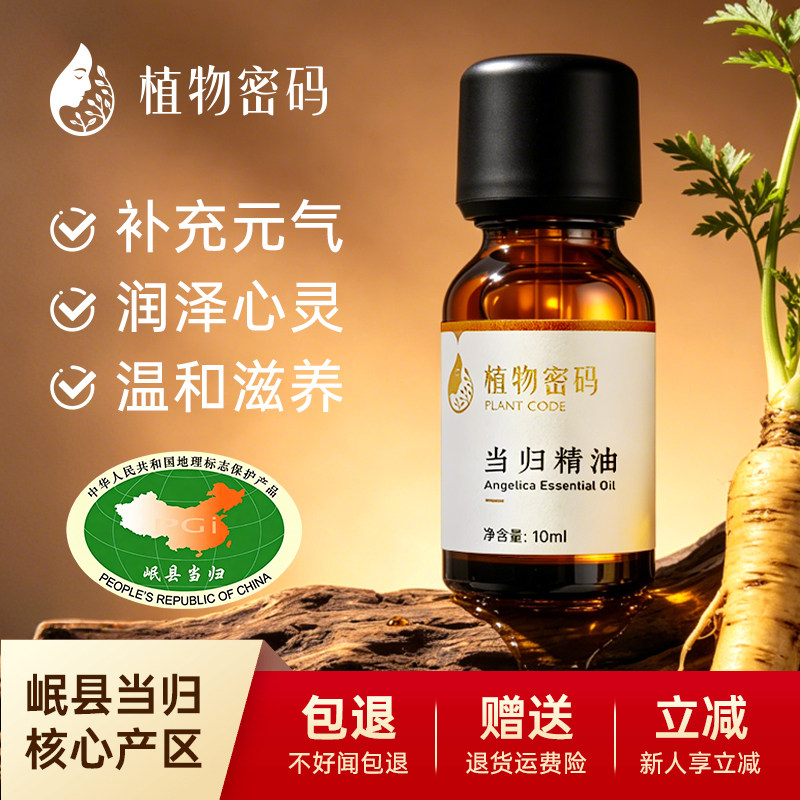 当归单方精油推背暖身心脏保健香气浓郁超临界当归按摩刮痧疏通