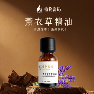 小样真正薰衣草单方精油天然植物精油舒缓安抚助眠安神香薰按摩油
