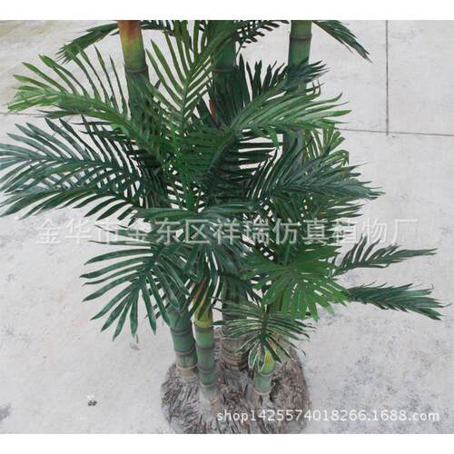 真植物假葵树1.8米六仿小葵细叶树过胶葵叶杆葵叶落地090盆景