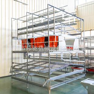 福利养殖蛋鸡笼笼养设备层叠式种鸡笼养自动喂料饮水
