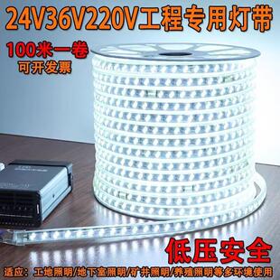 低压灯带36v24v白光暖光LED灯条户外防水隧道养殖场亮化装饰1米剪