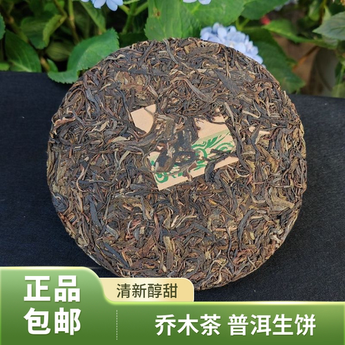 正宗乔木茶勐海古韵云南布朗山古树普洱生普七子饼茶版纳雨林