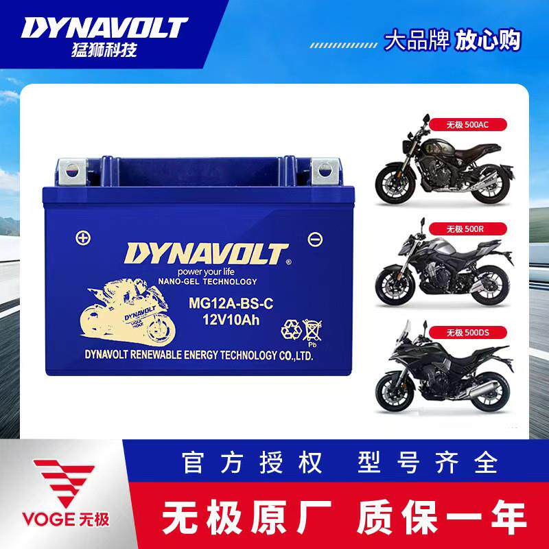 隆鑫无极原厂300R 250RR AC GY 500R 650DS 525R 150GT摩托车电瓶