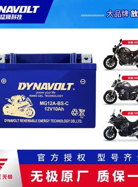 隆鑫无极原厂300R 250RR AC GY 500R 650DS 525R 150GT摩托车电瓶