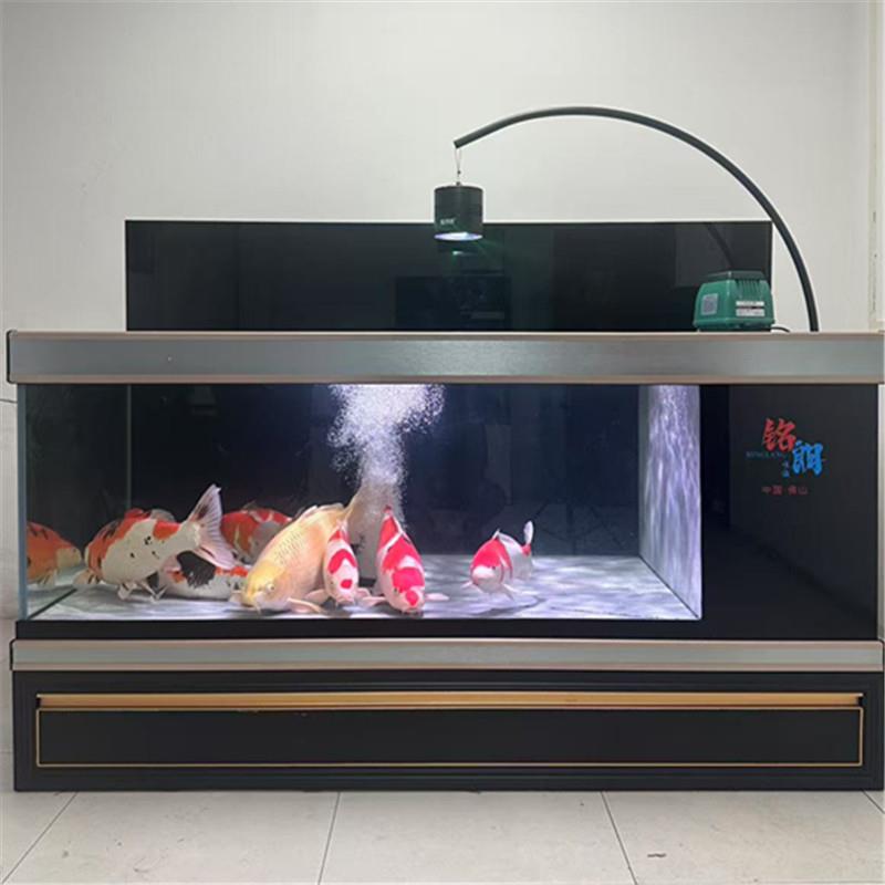 锦鲤鱼缸地缸大型超白金鱼底过滤水族箱客厅办公养锦鲤池大型鱼缸