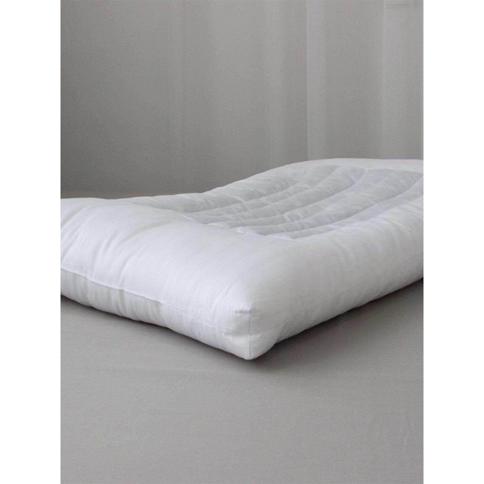 新款天然荞麦 决明子两用枕 护颈椎 助睡眠舒适家用不变形低枕