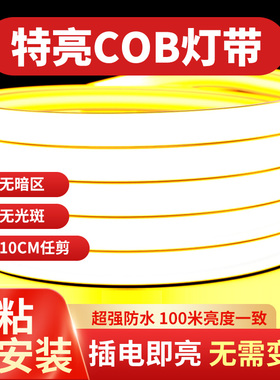 超薄led灯带COB户外软灯条220v防水超亮自粘线形灯槽家用客厅吊顶