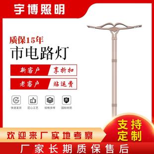 厂家供应市电路灯 双臂市政路灯照明亮化灯厂区小区道路建设