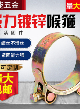 加厚镀锌强力喉箍重型卡箍油管管夹固定水管卡子欧式抱箍夹箍管箍