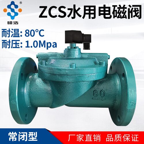 铸铁法兰电磁控制阀220V24V水阀水用取水灌溉设备电动阀门DN80100