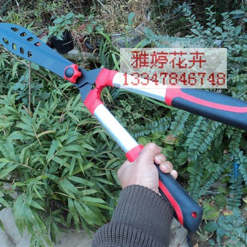 园林工具 绿篱剪刀 休整剪 篱笆剪 草坪剪子