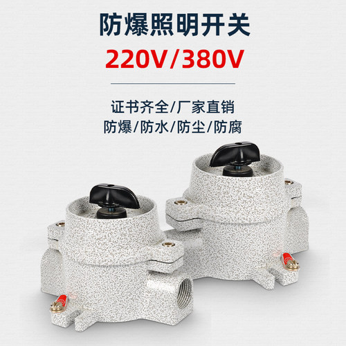 防爆照明开关SW-10防爆控制开关BZM 220V 10A隔爆型防水防尘 380V