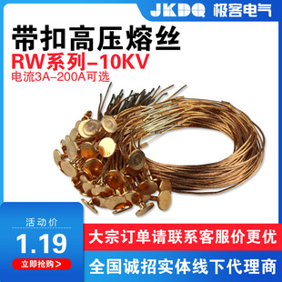 高压熔丝带扣RW-10KV户外跌落式熔断器保险丝3A-200A令克开关保险