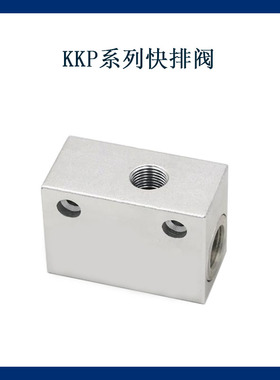 KKP系列 快速排气阀KKP--6/8/10/15/20/25快排阀