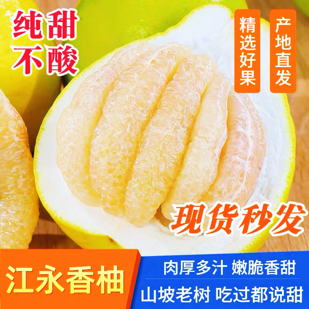 【贡品级大果】正宗湖南江永香柚柚子