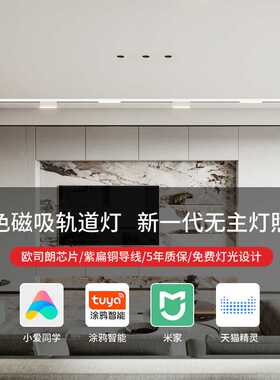白色智能磁吸轨道灯暗装嵌入式泛光灯格栅灯客厅无主灯家用线条灯