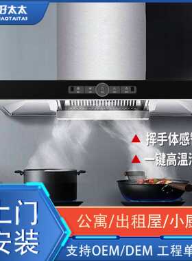 顶吸式T型抽油烟机公寓出租房家用小厨房自动清洗油烟机自清洗